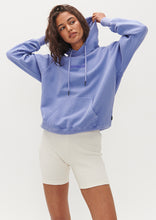 Load image into Gallery viewer, Vintage Hoodie
