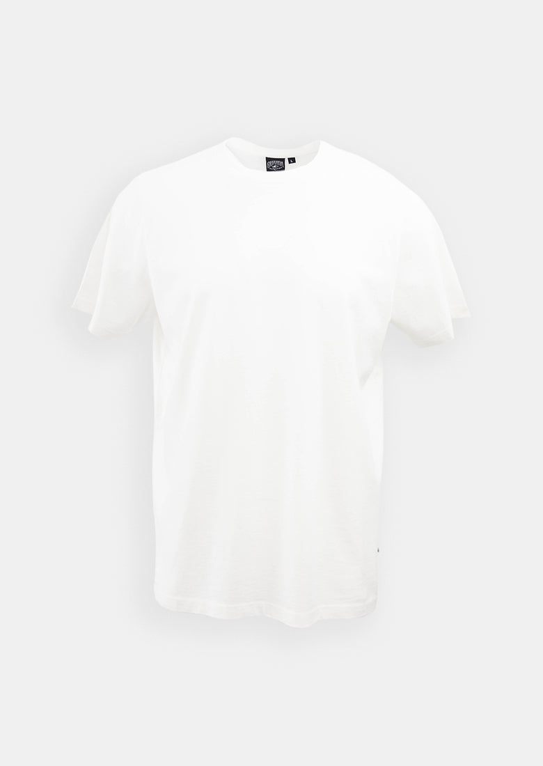 Basic Aloha Tee